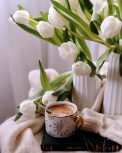 hoa tulip trắng 3_miogarden