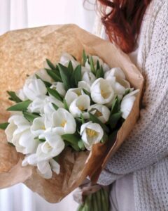hoa tulip trắng 4_miogarden