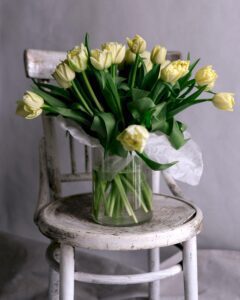 hoa tulip xanh vàng 6_miogarden
