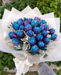 hoa tulip xanh_miogarden