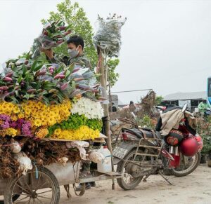 7 Điều Cần Biết khi đến Làng hoa Mê Linh-Vườn hoa nổi tiếng Hà Nội 6 Miogarden 29/11/2023 Làng hoa Mê Linh